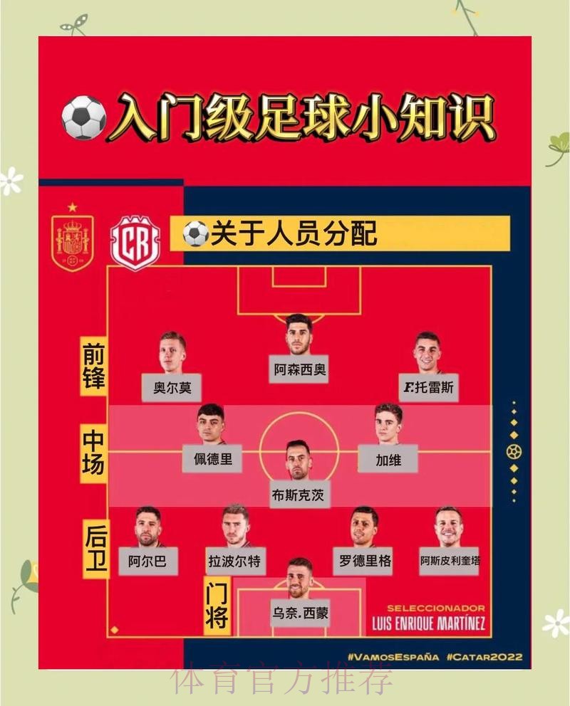 世界杯下注全流程解析:如何挑选最合适的平台